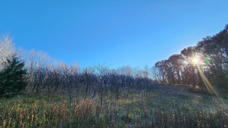 223zz Lake George Blvd, Oak Grove, MN 55303