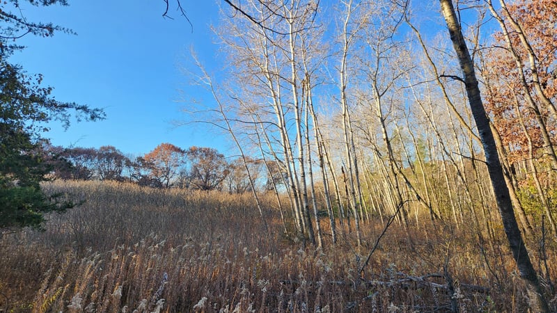 223zz Lake George Blvd, Oak Grove, MN 55303