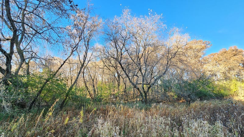 223zz Lake George Blvd, Oak Grove, MN 55303
