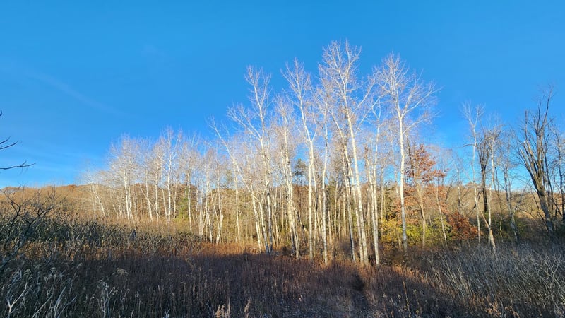 223zz Lake George Blvd, Oak Grove, MN 55303
