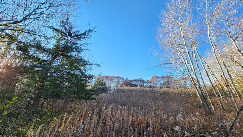 223zz Lake George Blvd, Oak Grove, MN 55303