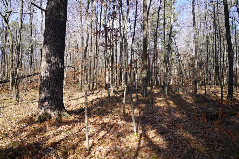 0 County Road B, Shell Lake, WI 54871