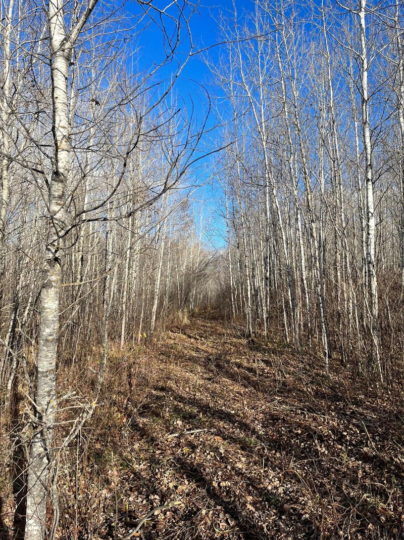TBD Cut Foot Forest Lake Rd, Effie, MN 56639