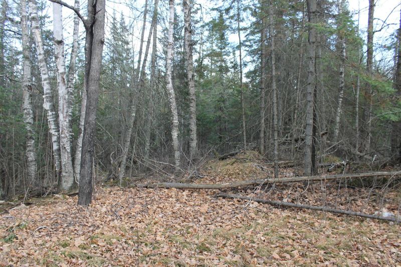 TBD Billings Rd, Hibbing, MN 55746