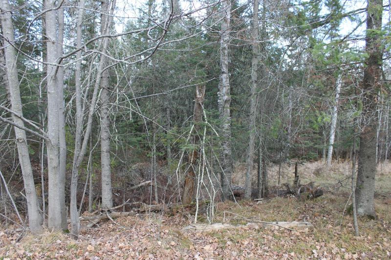 TBD Billings Rd, Hibbing, MN 55746