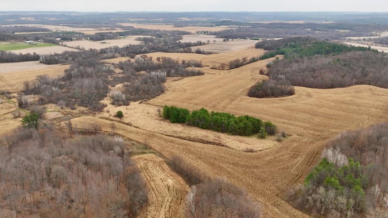W12247 Lubinski Rd, Osseo, WI 54758