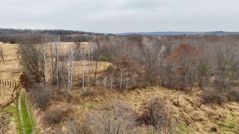 W12247 Lubinski Rd, Osseo, WI 54758