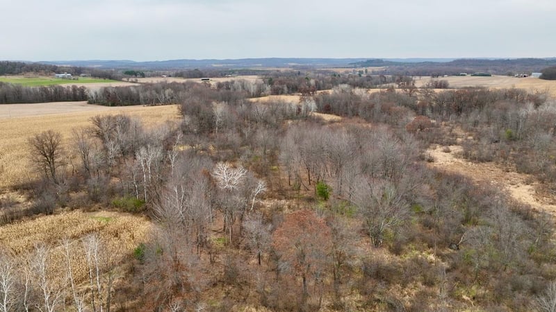 W12247 Lubinski Rd, Osseo, WI 54758