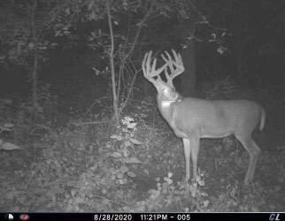 W20838 Call Valley Rd, Strum, WI 54770