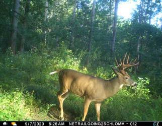 W20838 Call Valley Rd, Strum, WI 54770