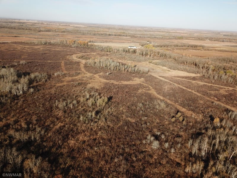 TBD 130th Ave NW, Newfolden, MN 56738