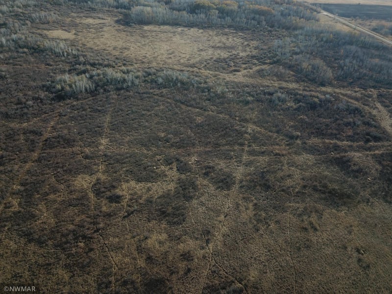 TBD 240th St NW, Newfolden, MN 56738