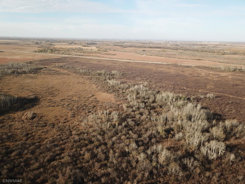 TBD 240th St NW, Newfolden, MN 56738