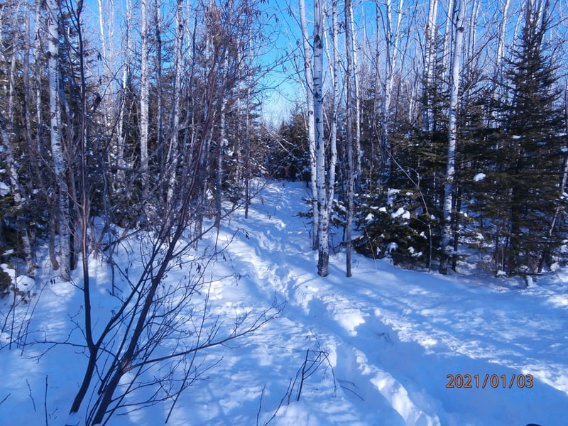 3314 Rock Rd, Silver Bay, MN 55614