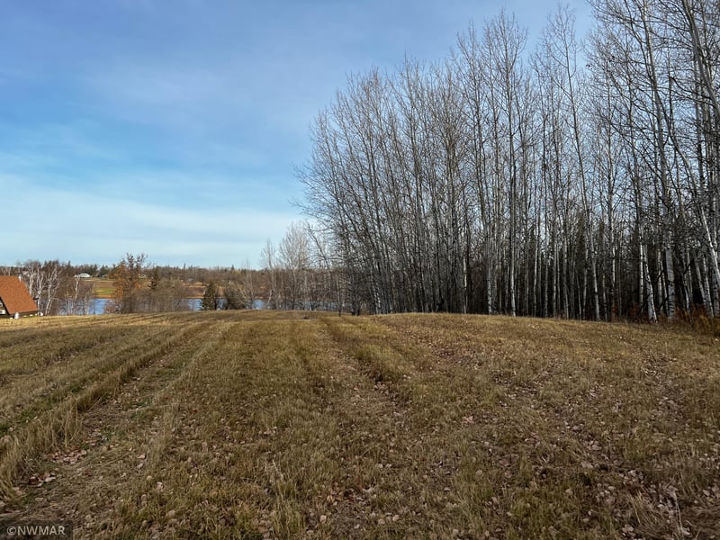 TBD Spruce Grove Rd SE, Lengby, MN 56651