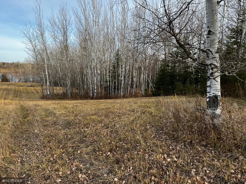 TBD Spruce Grove Rd SE, Lengby, MN 56651