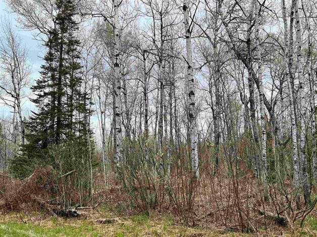 xxx Orienta Falls Rd, Port Wing, WI 54865