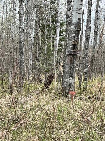 xxx Orienta Falls Rd, Port Wing, WI 54865