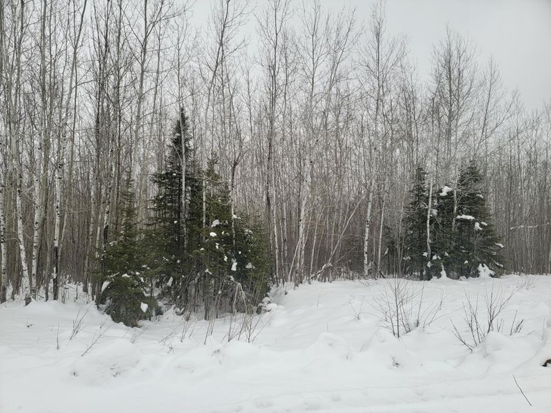 Lot 2 Bluff Creek Trl, South Range, WI 54880