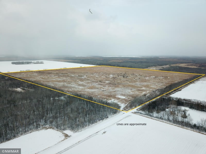 40492 205th St NE, Goodridge, MN 56725
