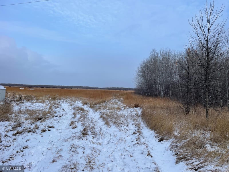 40492 205th St NE, Goodridge, MN 56725