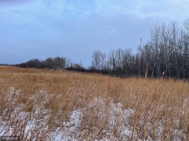 40492 205th St NE, Goodridge, MN 56725