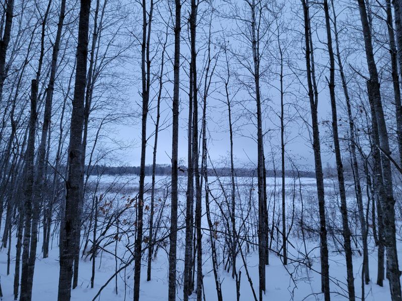 Unit 9 Lazy Ike Ln SE, Bemidji, MN 56601