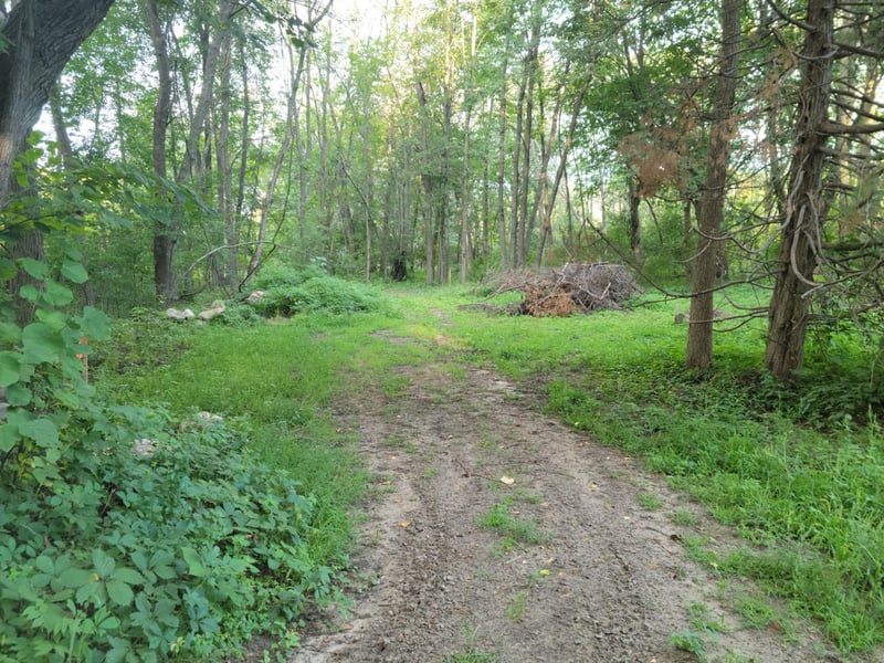 712 Birch Rd, East Bethel, MN 55092
