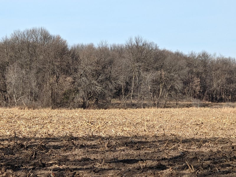 8790 Lake Blvd, Chisago City, MN 55013