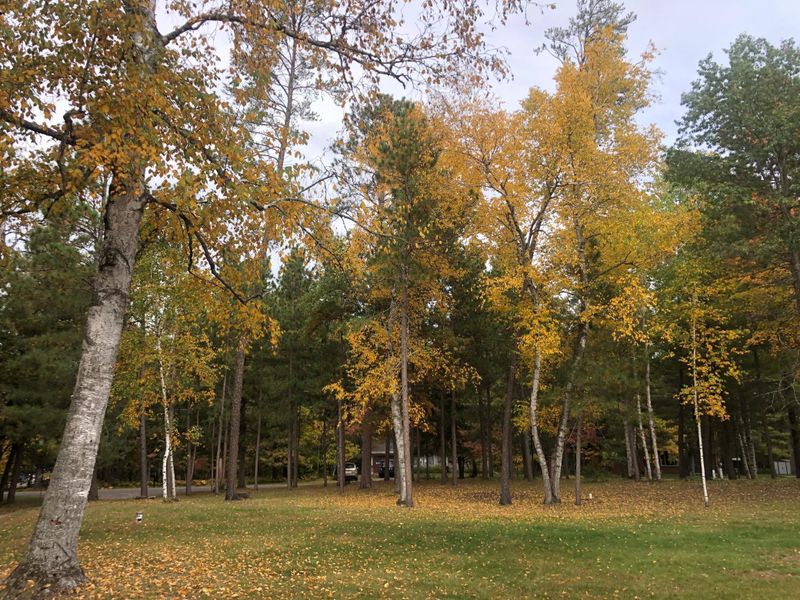 0000 Poplar Ave, Nisswa, MN 56468