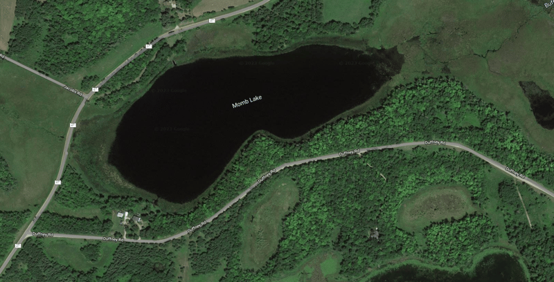23280 Duffney Rd, Rochert, MN 56578