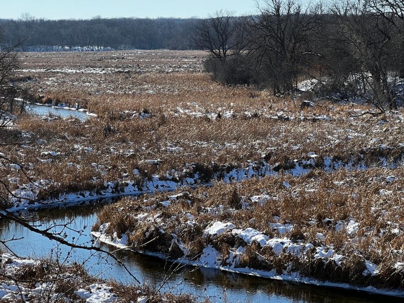 TBD County Highway 8, Glenwood, MN 56334
