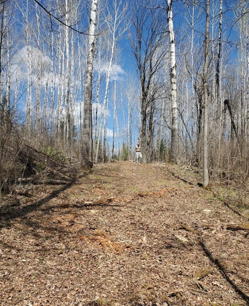 XXX County Road 30, Big Falls, MN 56627