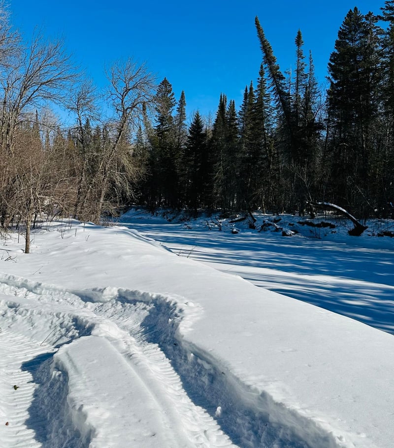 XXX County Road 30, Big Falls, MN 56627