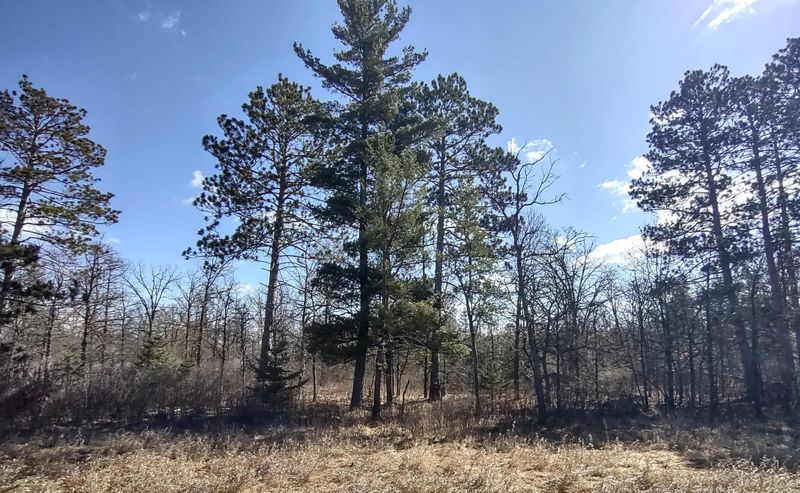 TBD Jefferson Ave SW, Bemidji, MN 56601