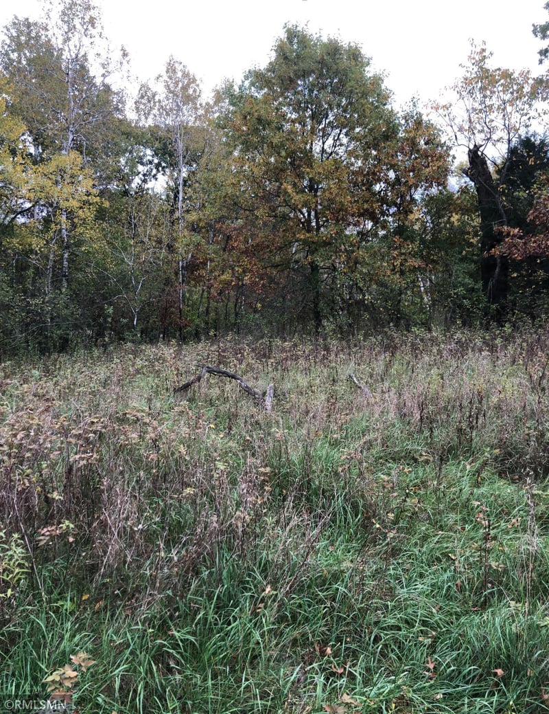 XXXXX Swan Lake Ln NW, Oak Grove, MN 55011