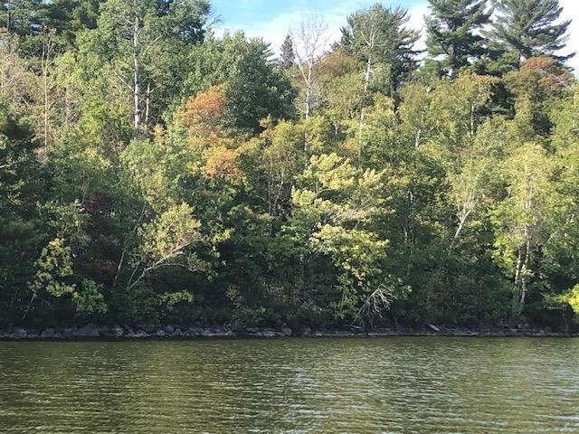xxxx S Grassy Point S, Cook, MN 55723