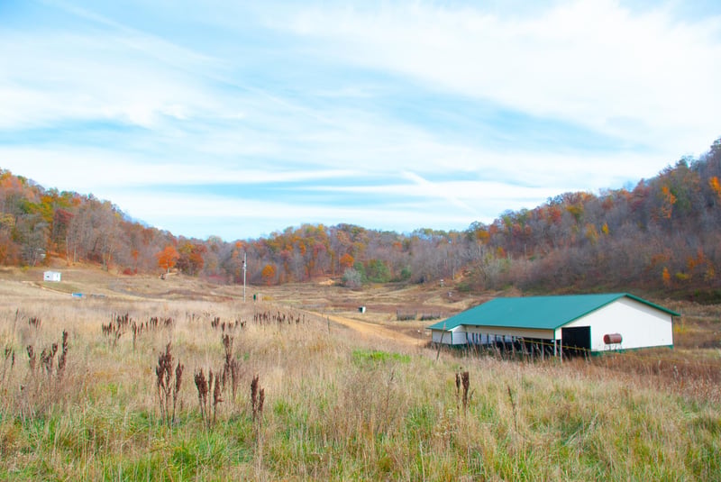 N 4870 County Highway D, Arkansaw, WI 54721