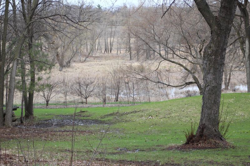 49xx County Rd 6, Independence, MN 55359