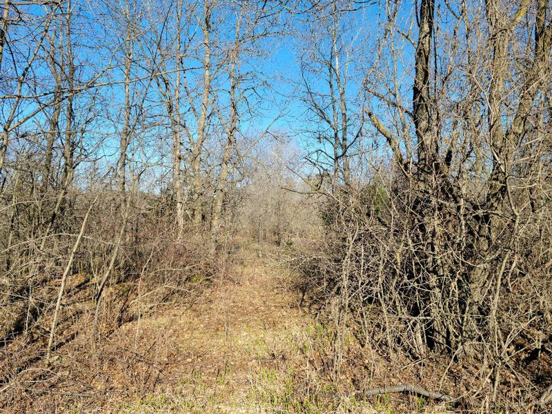 Lot 25 475th St, Wheeler, WI 54772