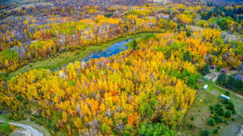 Lot B 159th Ave, Bagley, MN 56621