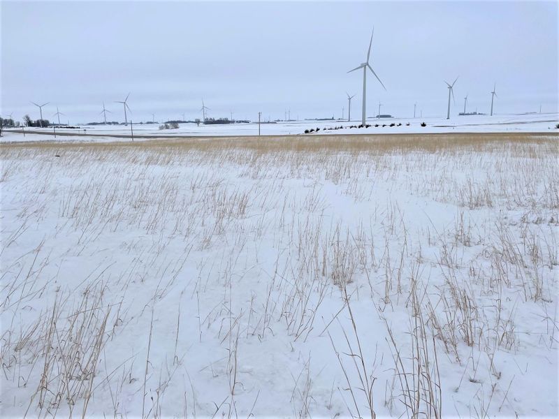 xxx 230th St, Rushmore, MN 56168