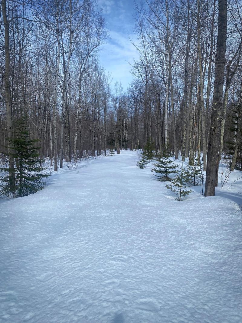 1744 N Shore Rd, La Pointe, WI 54850