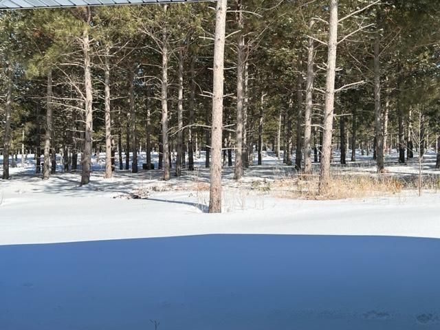 520 Eagles Trl, Ottertail, MN 56571