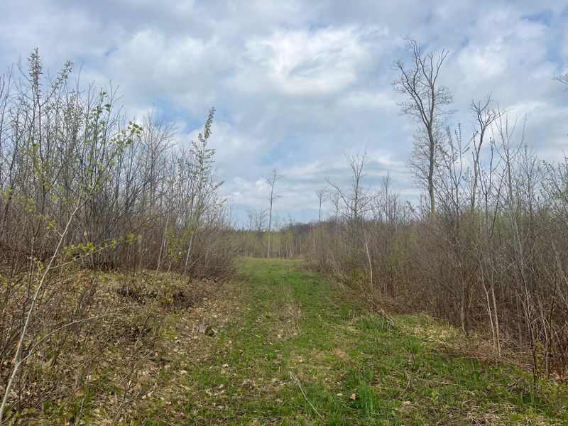 TBD Highway 53, Shell Lake, WI 54871