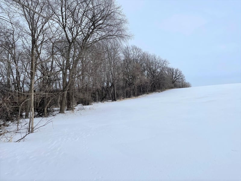 18367 315th Ave, Winnebago, MN 56098