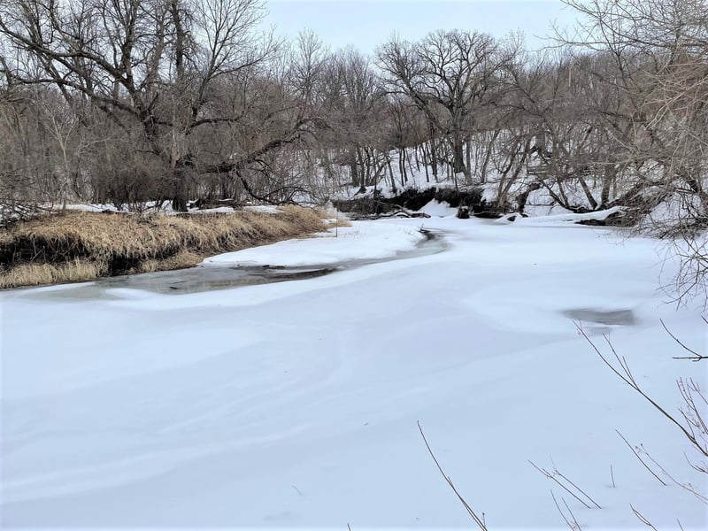 18367 315th Ave, Winnebago, MN 56098