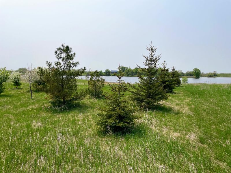 xxxxx County Highway 35, Dent, MN 56528