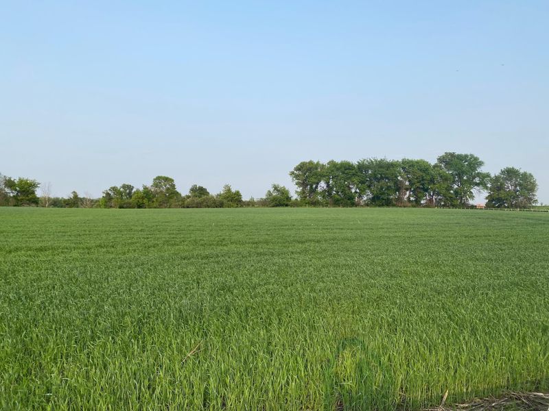 8890 Grace Ln N, Loretto, MN 55357