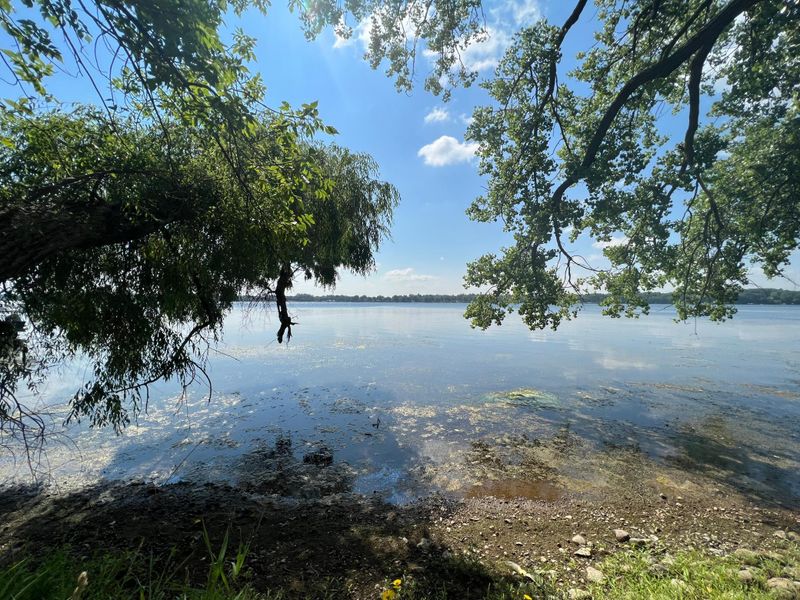 13739 Fallow Ln, Osakis, MN 56360